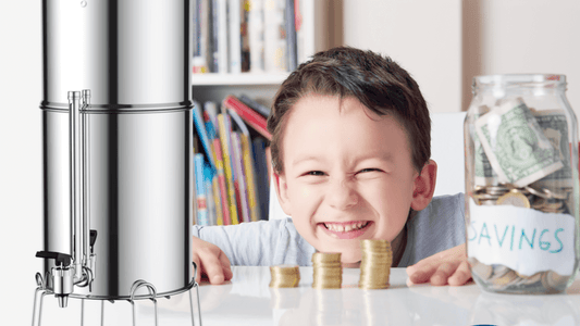 Tackling Fluoride's Health Impact with Water Filters