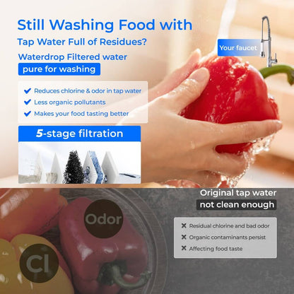 Waterdrop X8-PRO: Dual Flow RO System